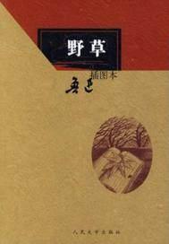 野草莓是覆盆子吗