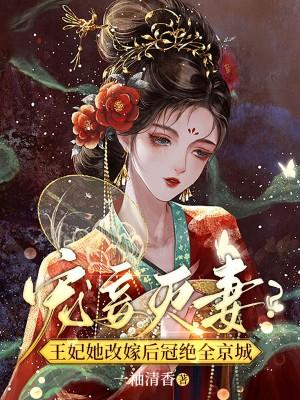 王爷王妃改嫁了