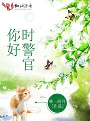 警察先生免费阅读