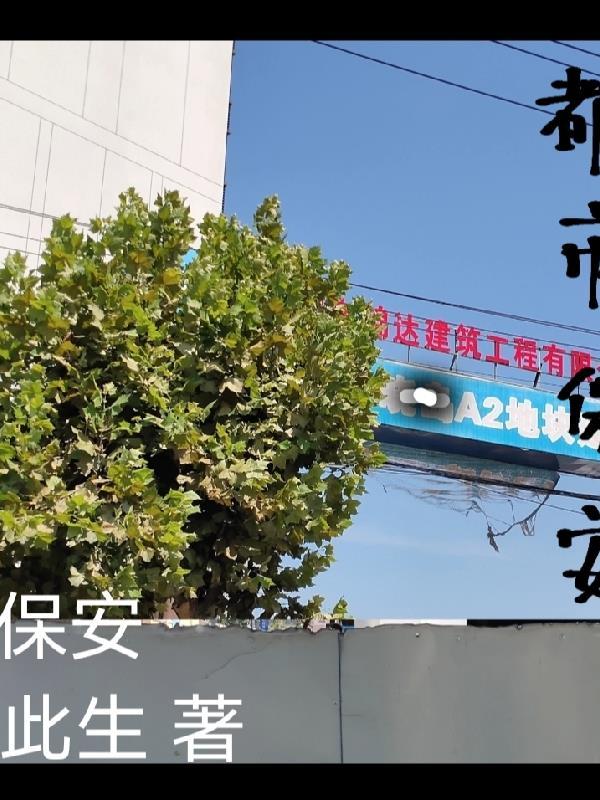 都市保安罗军全集