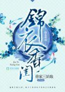 锦衣香闺大结局