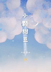 小颗甜豆(骨科)作者一座银山