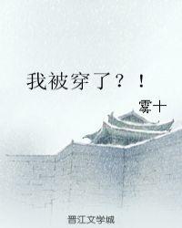 我被穿越的那些年