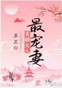 首辅大人最宠妻书评