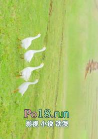 distance娇
