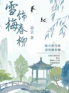 雪梅是什么题材