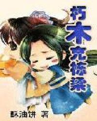 朽木充栋梁全文免费阅读