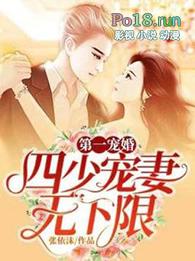 第一宠婚四少宠妻无下限评价