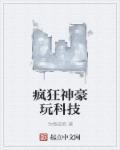 疯狂神豪玩科技第二部