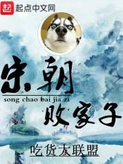 宋朝败家子阅读