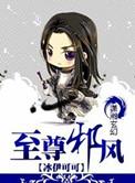 至尊邪风腹黑三小姐