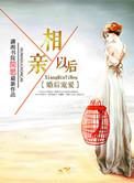 婚后宠爱之相亲以后晋江
