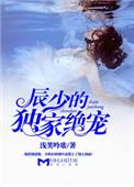 辰少宠妻入骨完整版