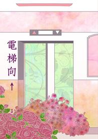 电梯向上升代表数字几