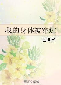 我的身体被穿过TXT
