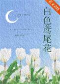 鸢尾花什么颜色