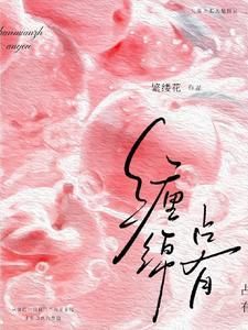 缠绵占有原版