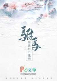 何驸马是什么人