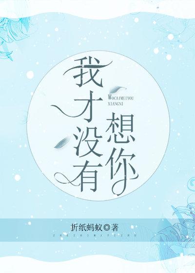 我才没有想你是什么歌