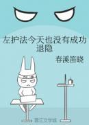 左护法大还是右护法大