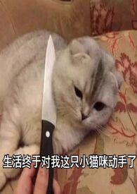 新欢 旧爱 知乎