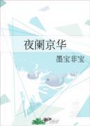 夜阑京华 墨宝非宝讲的什么