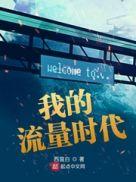 请问我的流量