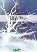 锦衣为夫百度