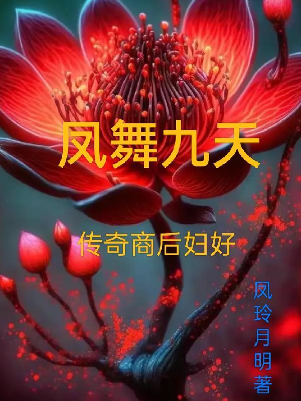 凤舞九天服务是什么意思