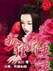 狐狸娇妻听书