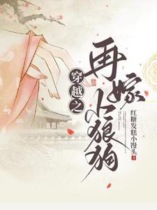 再嫁小夫郎txt