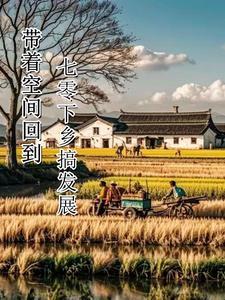 带着空间回到70年嘿小