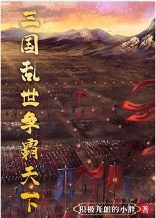 三国开局十万岳家军免费阅读