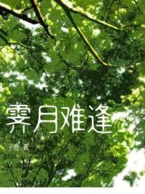 霁月难逢by子鹿笔趣阁