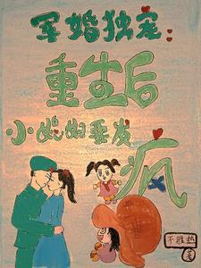 重生军婚军少的独宠小甜妻