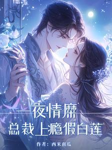 一夜缠情总裁请节制免费阅读