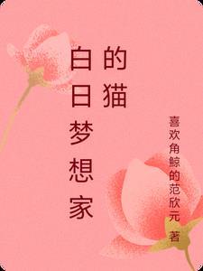 白日梦想家解读