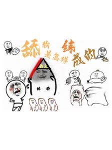 舔狗需要怎么做