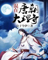 大唐从大理寺少卿开始