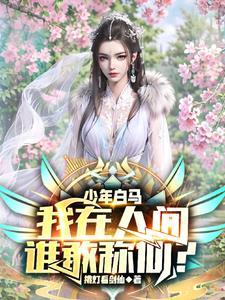 少年白马醉春风歌词