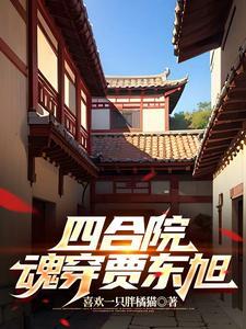 重生四合院贾