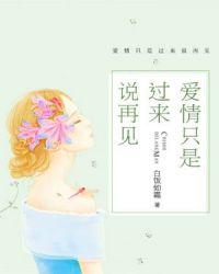 爱情只是过来说再见2