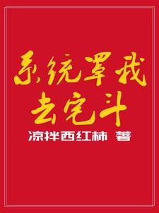 宅斗系统