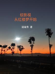 综影视快穿含红楼梦