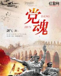 党魂的定义