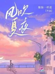 夏夜的风吹进窗子