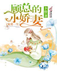 顾总宠妻太凶猛