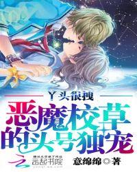 恶魔校草拽丫头别跑