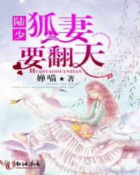 陆少狐妻要翻天 zip