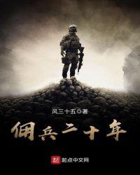 佣兵二十年 第3章